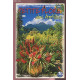 Petite Flore Des Antilles