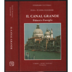 Il canal grande : palazzi e famiglie