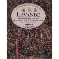 Lavande