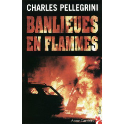 BANLIEUES EN FLAMMES