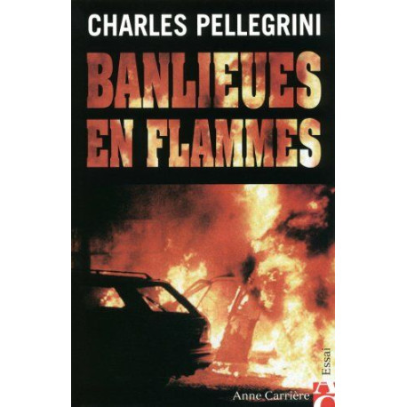 BANLIEUES EN FLAMMES