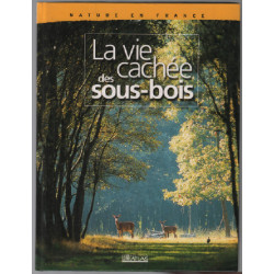 La vie cachée des sous bois