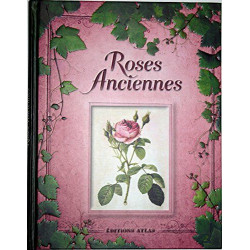 Roses anciennes