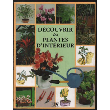 Découvrir les plantes d'intérieur