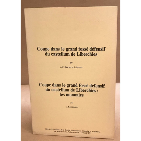 Coupe dans le grand fossé défensif du castellum de Liberchies