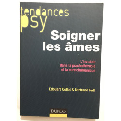 Soigner les âmes - L'invisible dans la psychothérapie et la cure...