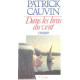 Dans les bras du vent 112897
