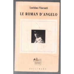 Le roman d'Angelo