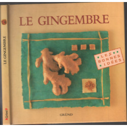 Le Gingembre ( 30 recettes de cuisine )