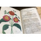 L'horticulteur provençal / journal des serres et des jardins 1854...