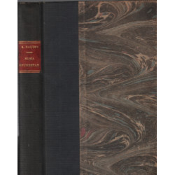Numa roumesta / roman de moeurs parisiennes