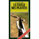 La Taille des plantes
