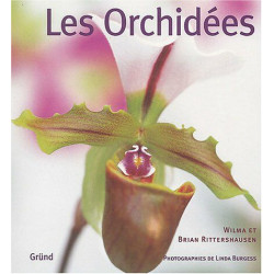 Les orchidées