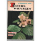Fleurs sauvages (150 photos en couleurs)