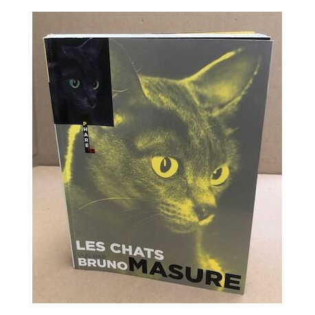 Les chats vus par Bruno Masure