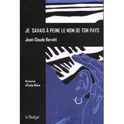 Je Savais A Peine Le Nom De Ton Pays - Roman