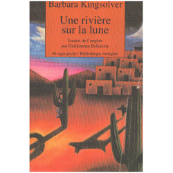 Une rivière sur la lune