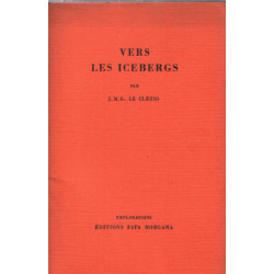 Vers les icebergs