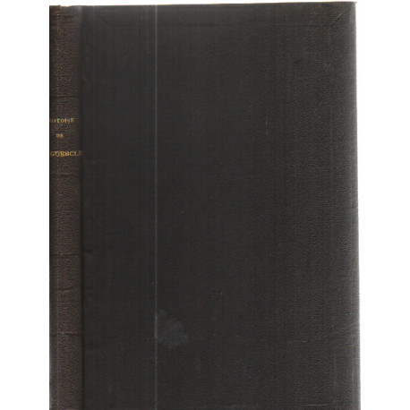 Histoire de bertrand du guesclin comte de longueville connétable...
