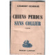 Chiens perdus sans collier