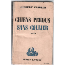 Chiens perdus sans collier