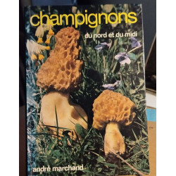 Champignons du nord et du midi/ 327 especes citées ou décrites/ tome 2