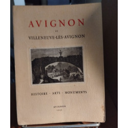 Avignon et villeneuve les avignon / histoire -arts-monuments