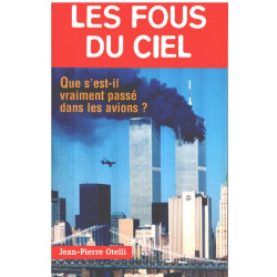 Les fous du ciel. Que s'est-il vraiment passé dans les avions