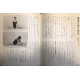 Hikarino kuni collection familier (livre en chinois)