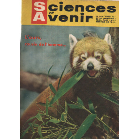 Sciences et avenir n°168 L'ours cousin de l'homme