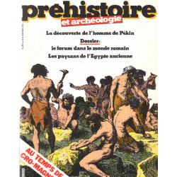 Revue archeologia n° 29