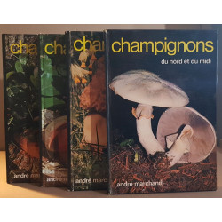 Champignons du Nord et du Midi (4 volumes) - Les meilleurs comes...