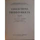 Collections préhistoriques du musée d'ethnographie et de...