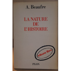 La nature de l'histoire
