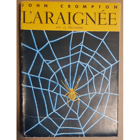 L'araignée (23 dessins)