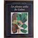 Les plantes utiles du Gabon