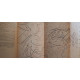Le Morvan et sa bordure - Etude morphologique / Dédicace