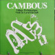 Cambous village préhistorique