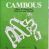Cambous village préhistorique
