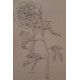 Treasury of flowers designs for artists embroiderers et craftsmen...