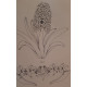 Treasury of flowers designs for artists embroiderers et craftsmen...