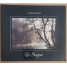 Rivages méconnus : La Sorgue