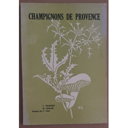 Champignons de Provence