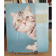 Gueules de chats