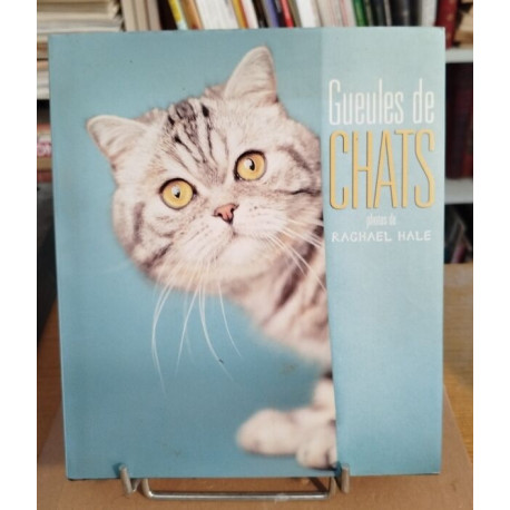 Gueules de chats