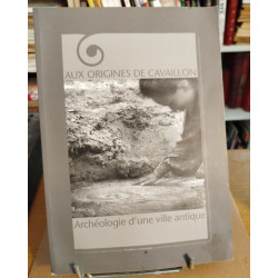 Aux origines de Cavaillon archéologie d'un ville antique