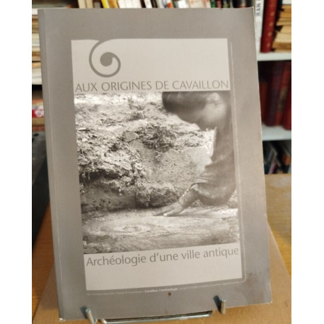 Aux origines de Cavaillon archéologie d'un ville antique