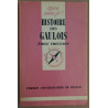 Histoire des gaulois
