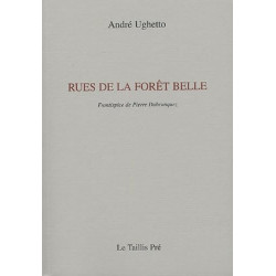 Rues de la forêt belle : Petite kabbale de poèmes entre deux proses