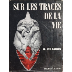 Sur les traces de la vie